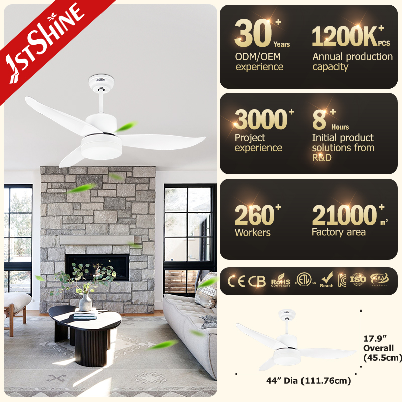 ceiling fan