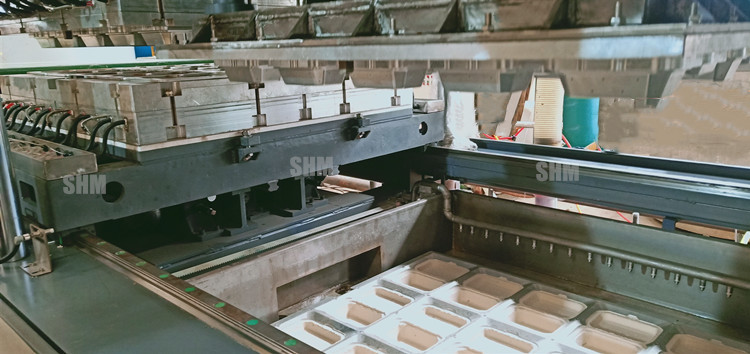 Biodegradable Pulp Molding Tableware Machine Disposable Dish Line
