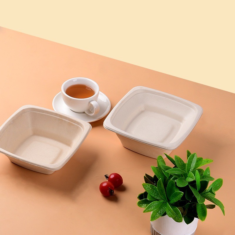 Reusable Custom Molded Pulp Packaging Printing Food Packing Box
