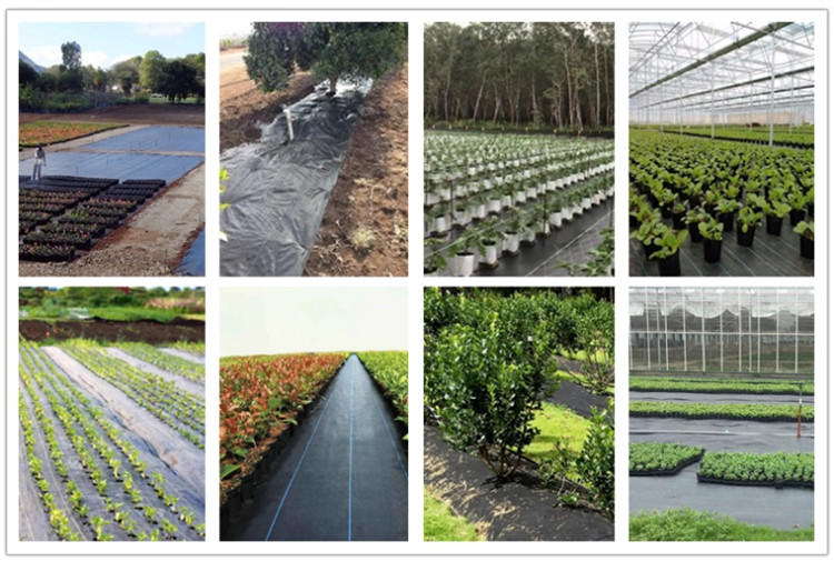Weedmat /Weed Control Fabric /PP Woven Ground Cover /Ground Cover Fabric with UV