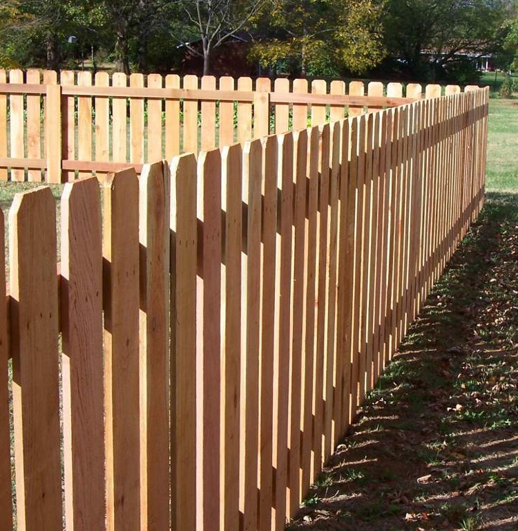 Gardening Cedar Wood Fence 2440mm