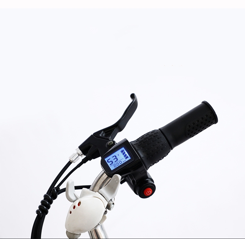 250W 26 Inch Electric City Bike With Pedal Assist 8Ah / 10Ah Lithium Battery