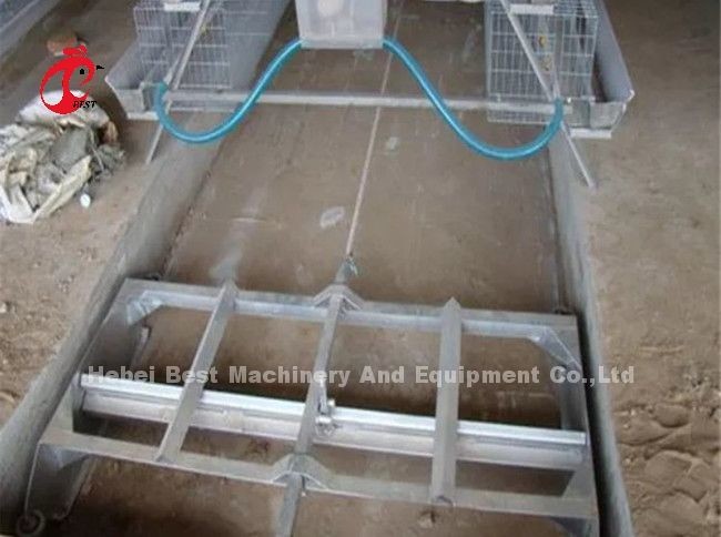 Automated Scraper Type Manure Removal Machine For Poultry Farm Emily