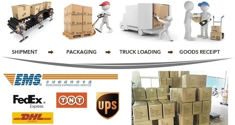Unlocked 1K3m 4G LTE Cat 3 100Mbps USB Dongle