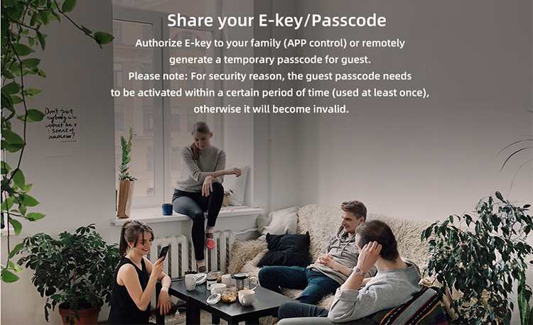 Electronic Digital Keypad Apartment Smart Door Lock For Home AirBNB