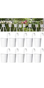 flower pot