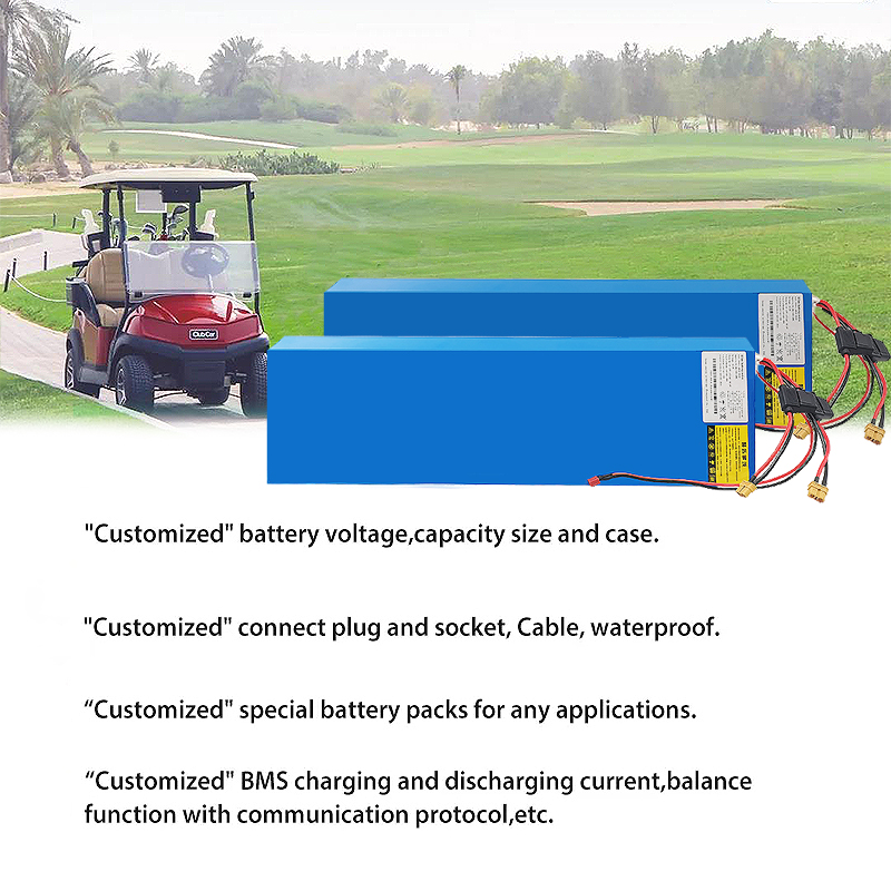 Lithium Ion Golf Cart Lithium Battery 2000 Cycle Rechargeable Customizable
