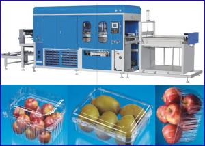 China Plastic Vacuum Thermoforming Machine For Super market Fruit and Vege containers on sale