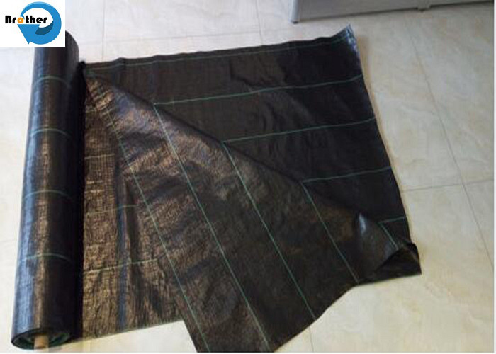 PP Woven Weed Barrier Control Sulzer Weed Mat Ground Black Cover Fabric in Garden / Greenhouse