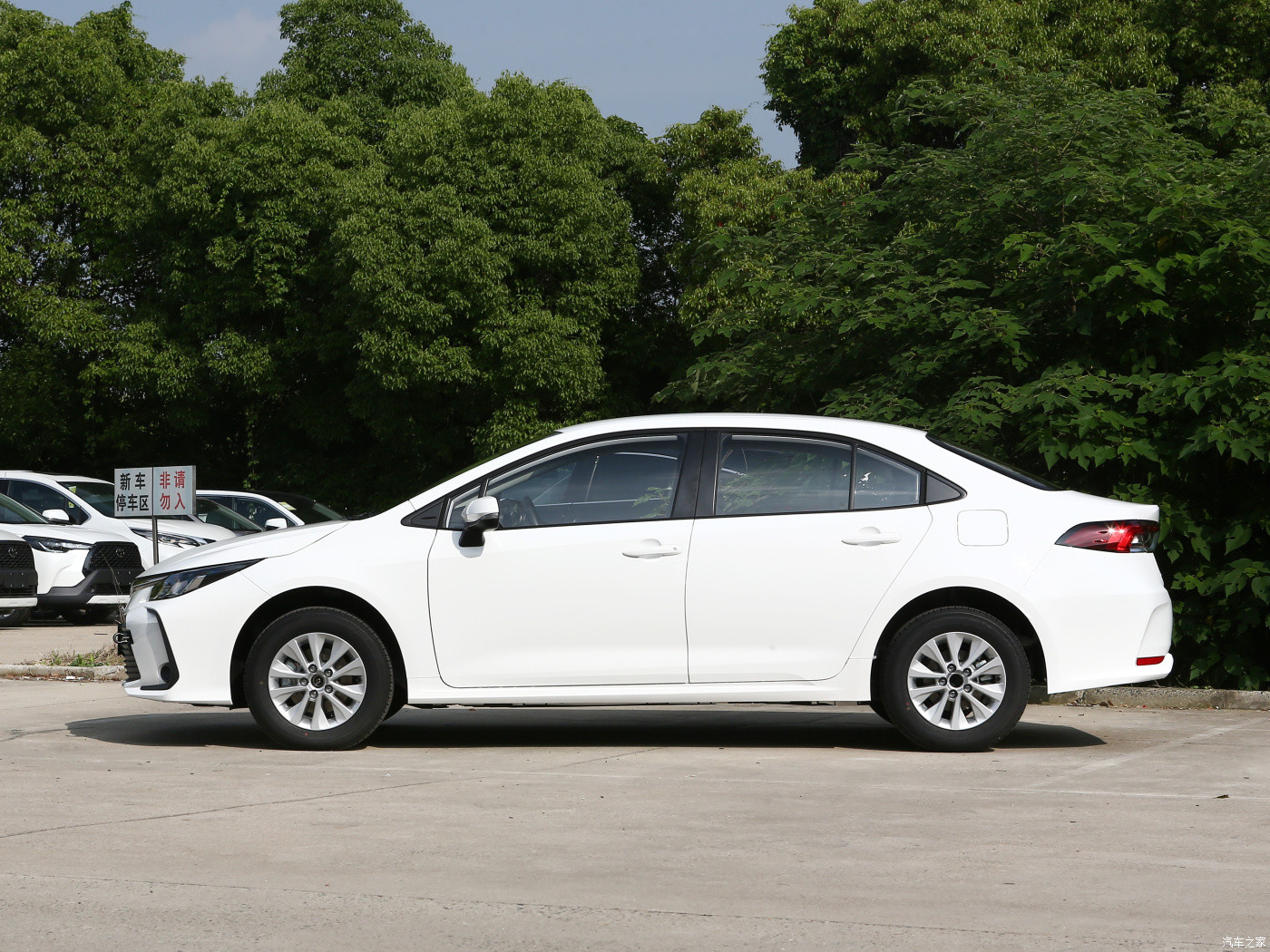 1.2T Pioneer Toyota Petrol Cars Corolla 2023 White Fuel Efficient SUV
