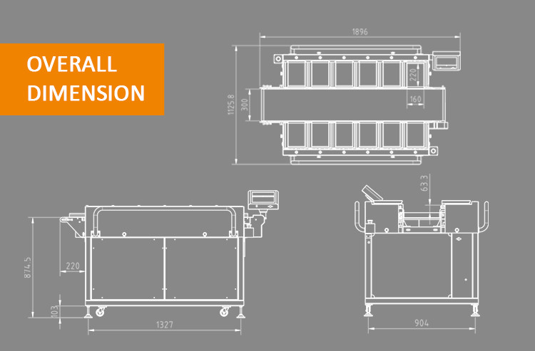 Convey Belt Orange Durian Packaging Weight Combination Scale For Fruit And Vegetable