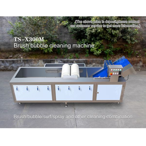 250KG Fruit and vegetable automatic roller washing machine Multi-functional vegetable washing machine automatic
