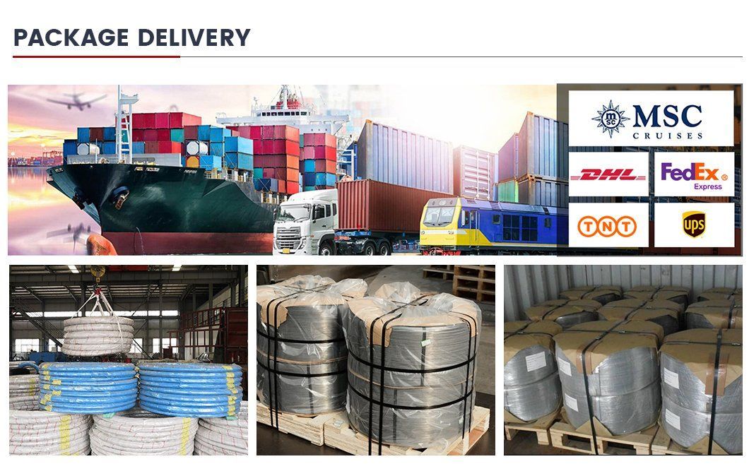 Bottom Price Hot Dipped Galvanized Steel Wire 9 10 12 14 16 18 Gauge Electro Galvanized Gi Iron Binding Wire