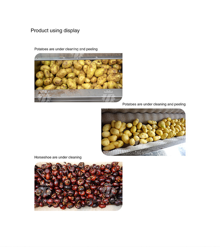 1500KG/H Sweet potato cleaning and peeling machine manufacturers supply brush peeling cleaning machine