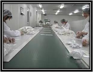 Innovation Biotech (Beijing) Co., Ltd.