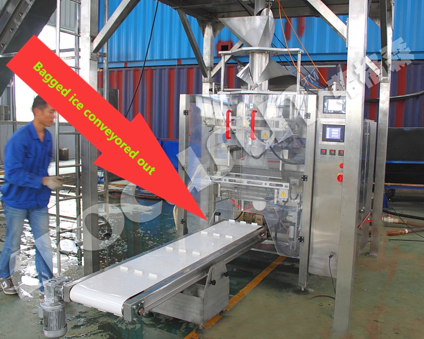 Sealing Bag Packing Machine for 1kg 5kg 10kg Ice Cubes Tubes Video Outgoing-Inspection