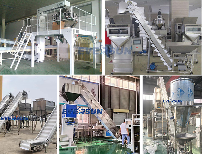 DZJX Inclined Chain Bucket Elevator Z Type Bucket Elevator High Efficiency