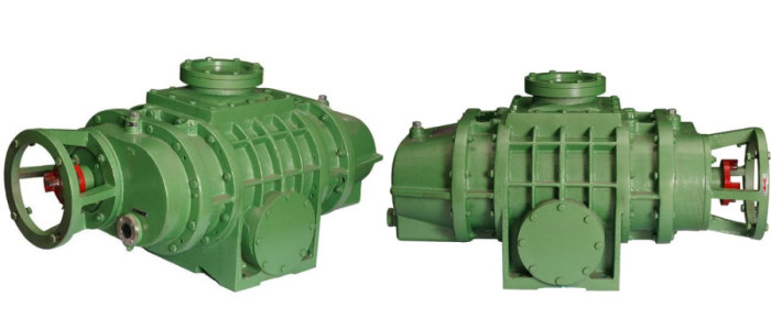 Stainless Steel Industrial Roots Vacuum Pump For Food And Beverage Industry