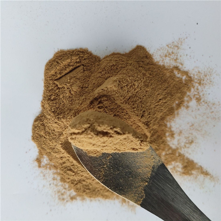 Medicine Grade Orange Peel Extract Hesperidin Powder