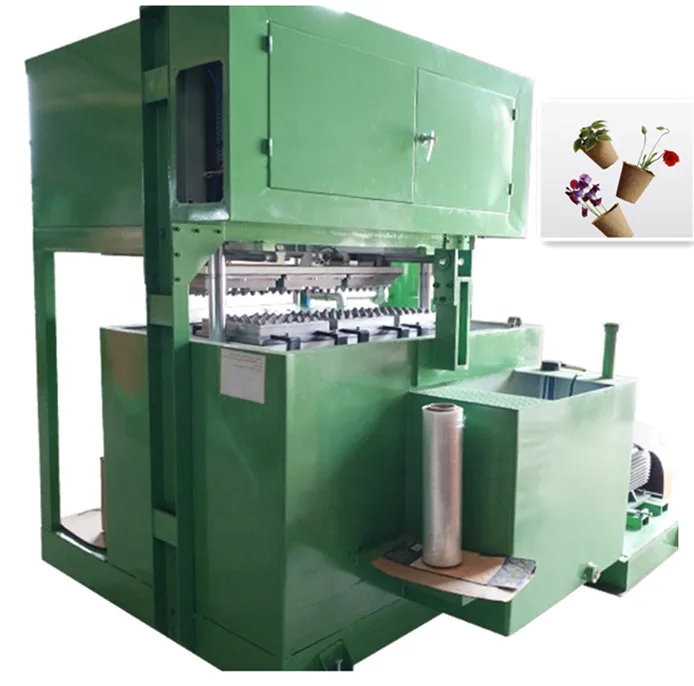 Multi Cavity 45KW Small Egg Tray Machine For Sun Drying Production Line