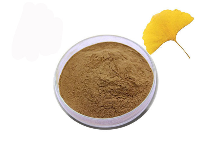 Pharmaceutical Grade Ginkgo Biloba Extract Powder For Health Care