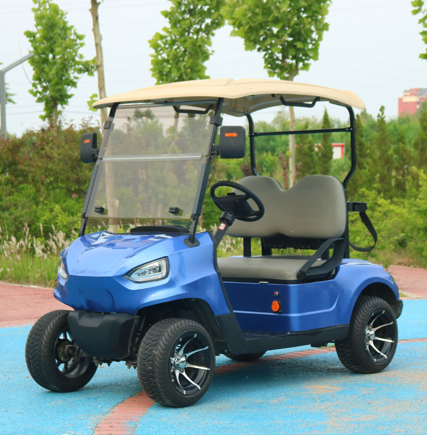 Luxury Rechargeable 2 Seater Golf Cart Lithium Ion Battery Golf Club Cart