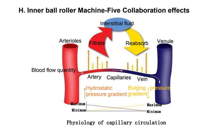 New Fat Burning Velashapemaster Inner Roller Ball Slimming Device