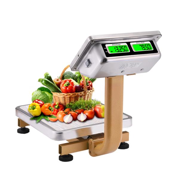 Mini Fold Portable Electronic Scale 60 kg TCS Electronic Platform Scale with Stainless Steel Indicator Bench Scale