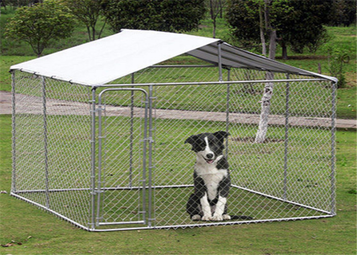 Galvanized Wire Outside Dog Cages For Large Dogs / Fully Enclosed Dog Kennel