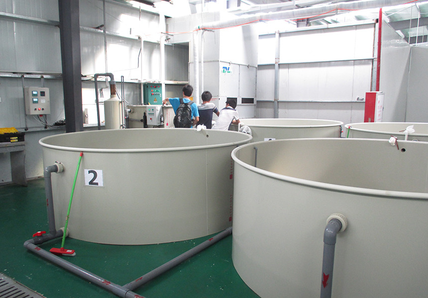 Automated Feeding Eco Friendly Ras Recirculating Aquaculture System Ras Fish Farming System