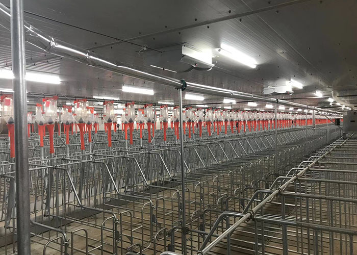 Pig Cage Coop Swine Poultry Farming Structures 320MPA tensile strength