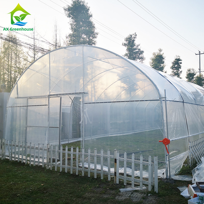0.06mm 0.20mm Thick Flm Poly Tunnel Greenhouse Hot Galvanised Steel Greenhouse