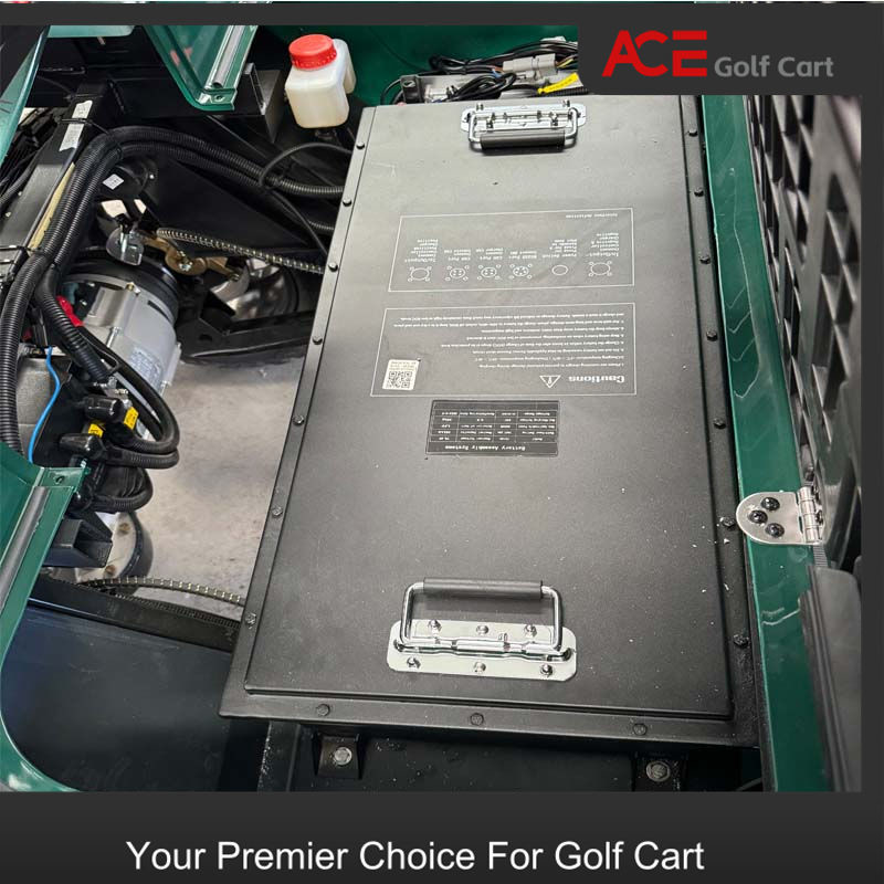 Energy Storage Golf Cart Battery 48V 150AH Long-Lasting 2000-5000 Cycle Life