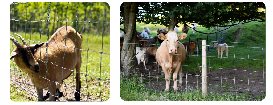 The Inner Wire Is 1.8Mm Farm Fence / Cattle Fence Netting / Grassland Fence Farm Fence Manufacturers Direct Selling