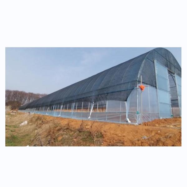 Single Span Agricultural Greenhouses Shading Net Film Greenhouse For Tomato