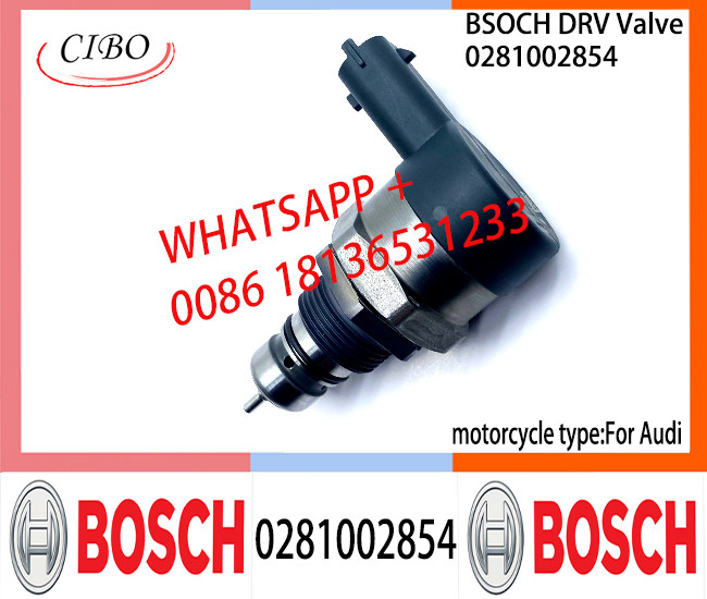 BOSCH DRV Valve 0281002854 Control Valve 0281002854 for AUDI