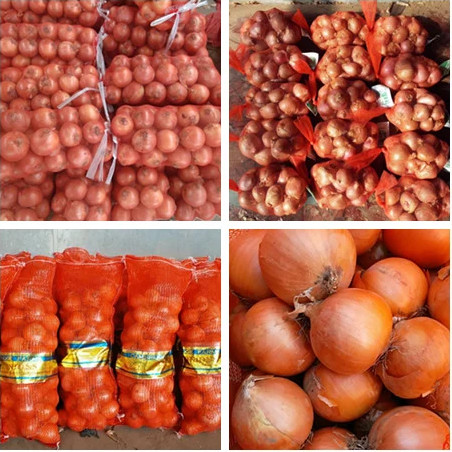 Healthy 6cm Sweet Yellow Onion For Middle Aged