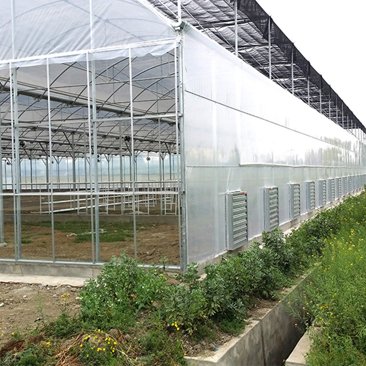 Flowers Planting Agriculture Plastic Film Automatic 9m Multi Span Greenhouse
