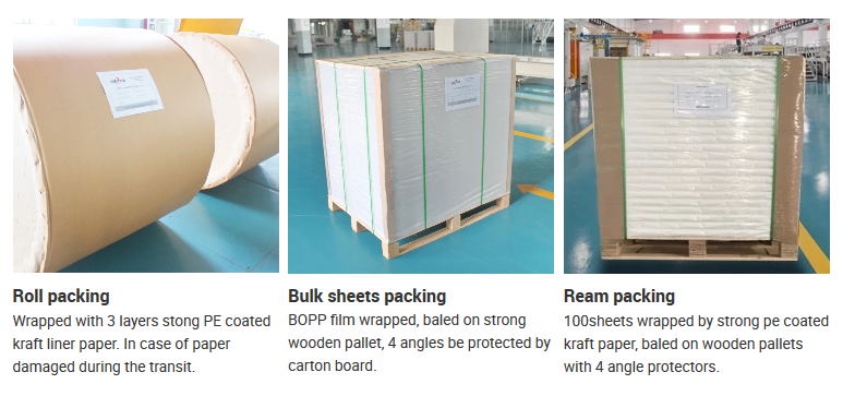 NINGBO FOLD C2S Art Card Made of Wood Pulp Kaolinite Coating Material for High Gloss