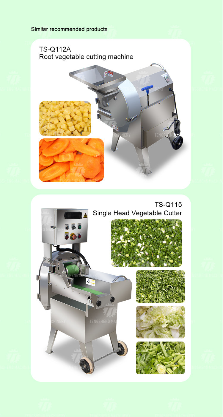 1000KG/H 80KG Multi-function vegetable cutting machine apple dragon fruit slice machine vertical lemon slicer