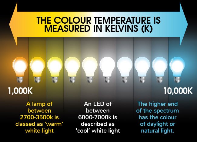 The difference between warm white, white and cool white
