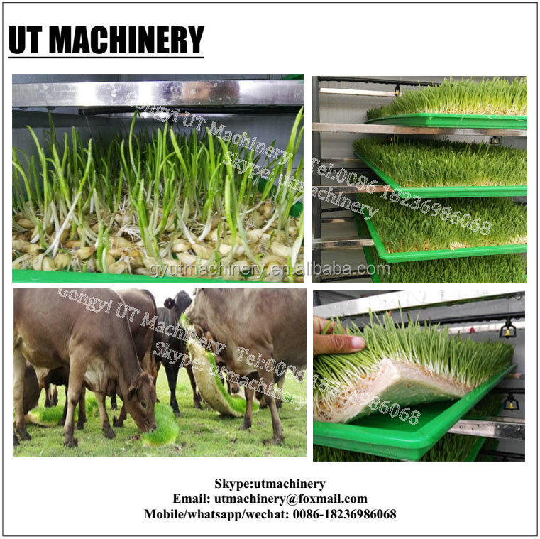 40FT Vertical Hydroponic Container Fodder Machine for Growing Sprouts Barley on Farms