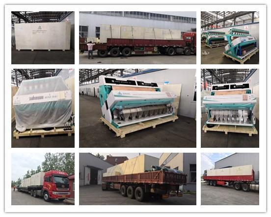 Blue Peanut Color Sorter Machine 1.2kw Cashew Colour Sorter Machine