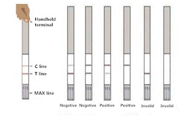 Nitrofuran AOZ Rapid Card Food Safety Rapid Test Kit For Tissue 96 Tests/Kit 0.5 Ppb