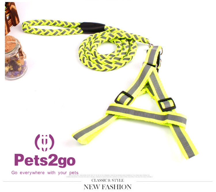 Pet Training Dog Shock Collar Puppies Tools Basic Concepts Learning Curve
