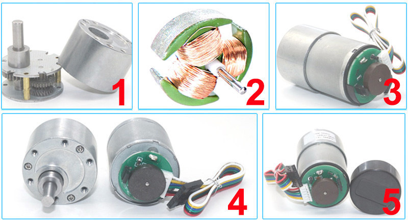 37mm 12v 24v 1600 Rpm High Torque dc gear motor with encoder
