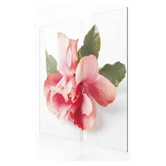 Pantalla Giant Transparent LED Display Screen / 3mm 7mm Transparent Glass LED Screen 0