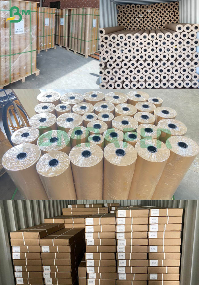 Blueprint Paper Roll