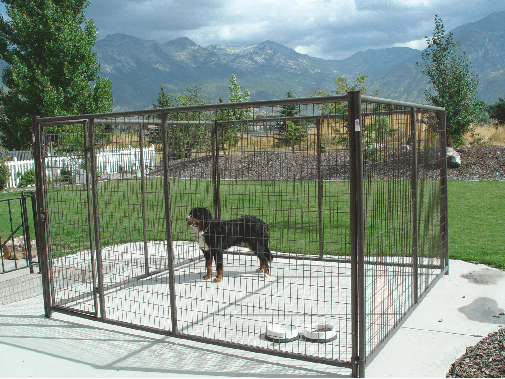 Weatherproof Heavy Duty Outside Dog Kennel