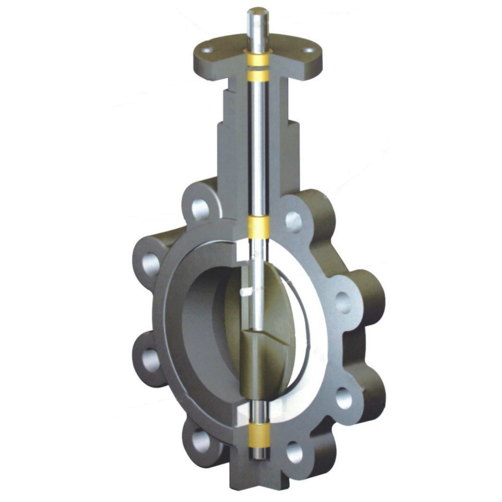 2 4 inch Stainless steel cast ductile iron Lug type butterfly valves manufacturer